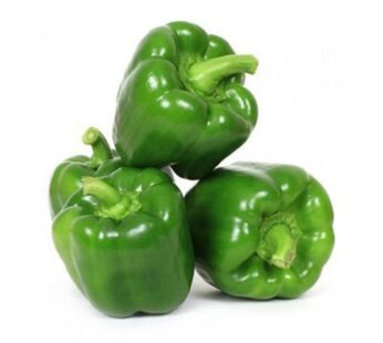 Capsicum Green Pkt