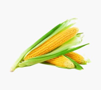 Corn (sweet) Pkt