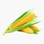 Corn (sweet) Pkt