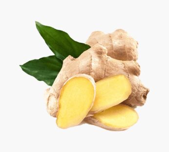 Ginger Pkt