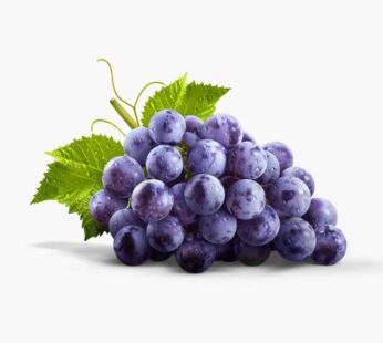 Grape black Pkt