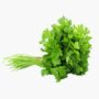 Parsley Bunch
