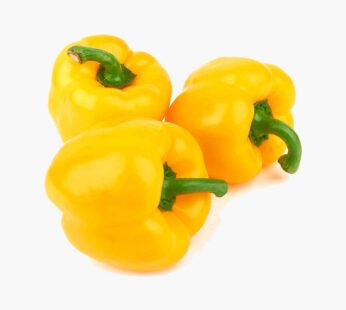 Capsicum Yellow Pkt