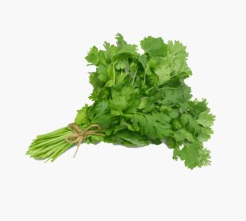 Coriander Bunch