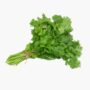 Coriander Bunch