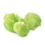 Iceberg Lettuce Pc