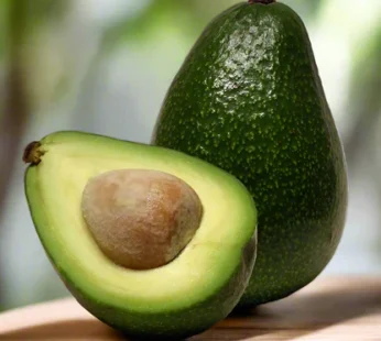 Avocado