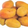 Mango Yemen Pkt Approx 1 KG