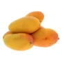Mango Yemen Pkt