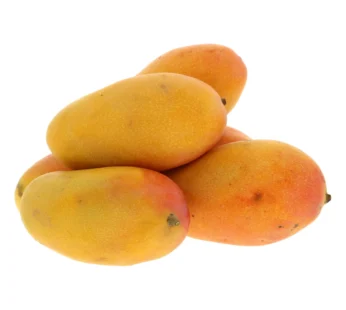 Mango Yemen Pkt