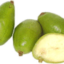 Unripe Loquat Pkt