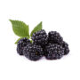 Blackberry Pkt