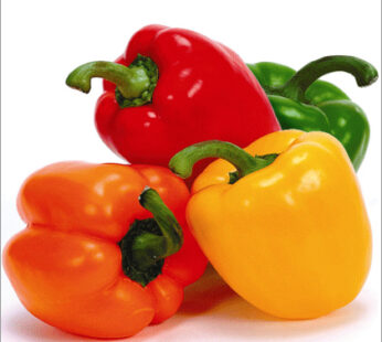 Mix Capsicum PKT