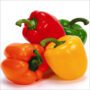 Mix Capsicum Pkt