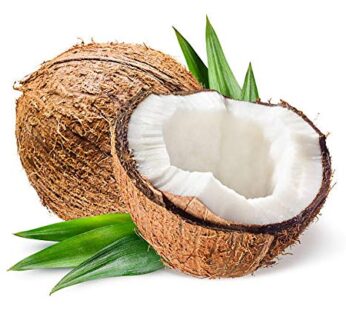 Coconut India