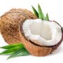 Coconut India