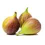 Fig