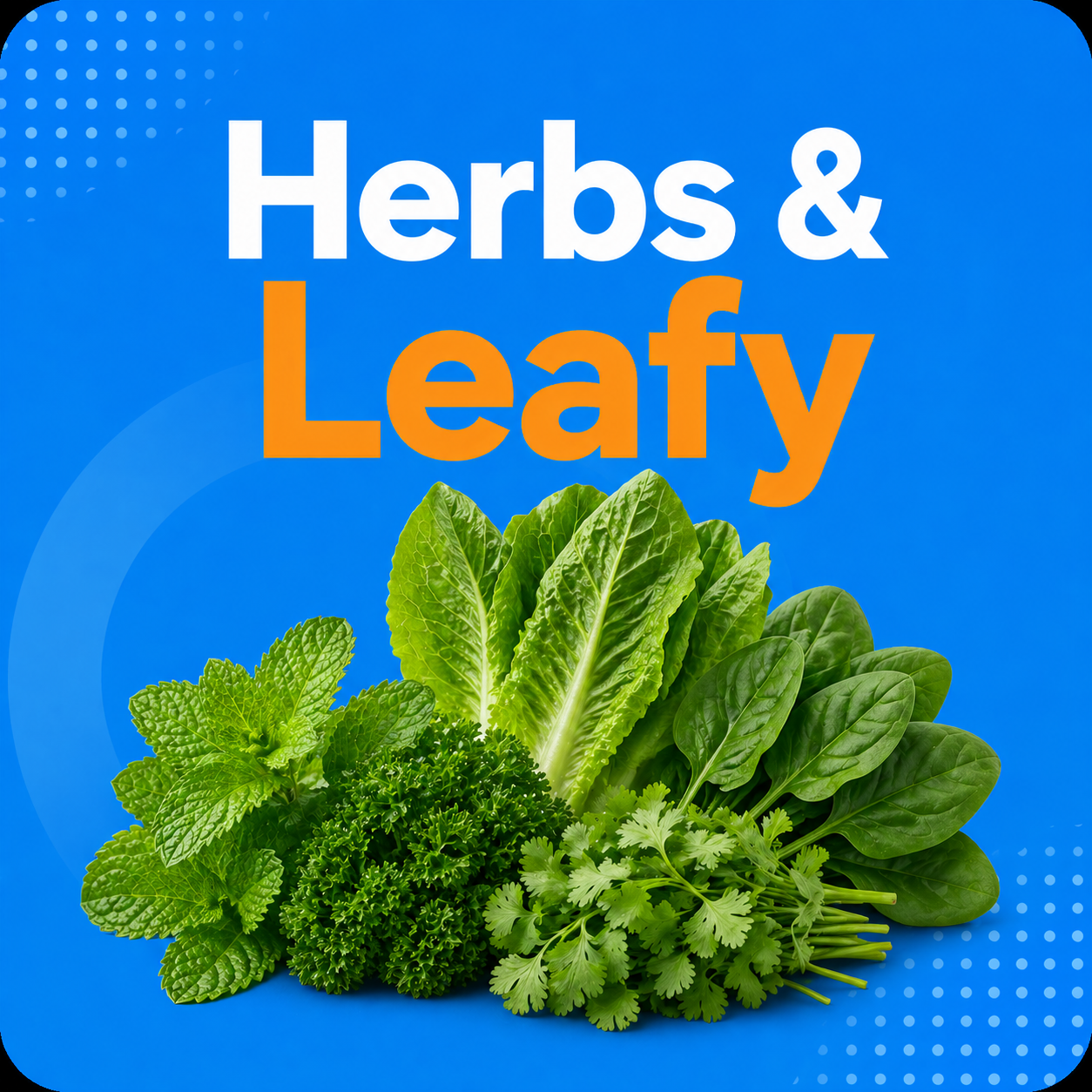 Herbs And Leafy
