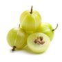 Gooseberry India