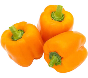 Capsicum Orange PKT