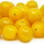 Cherry Tomato Yellow