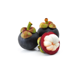 Mangosteen