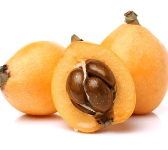 Loquat Pkt