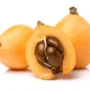 Loquat Pkt