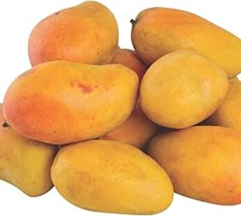 Mango Yemen Box