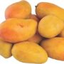 Mango Yemen Box
