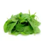 Spinach Baby
