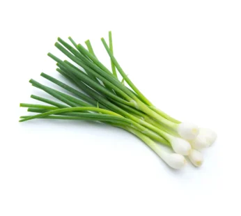 Spring Onion