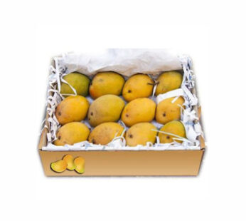 Mango Alphonso India Box