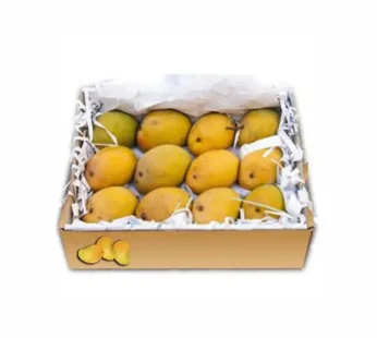 Mango Alphonso India Box
