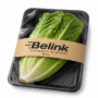 Romaine Lettuce Pc