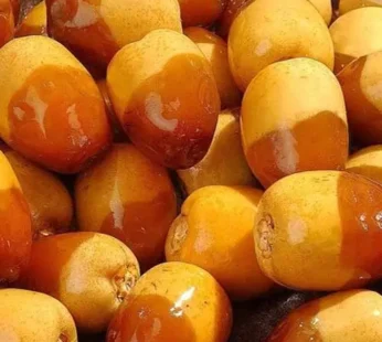 Ikhlas Fresh Dates Oman