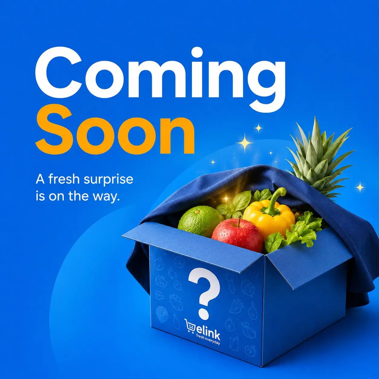 COMING SOON
