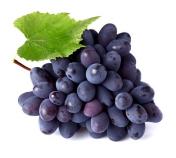 Grape Black Africa Pkt