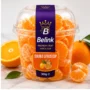 Belink Double Citrus Cup 300g