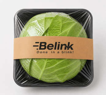 Green Cabbage Piece