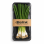 Spring Onion Bunch