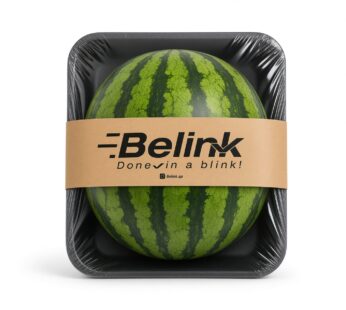 Watermelon Piece