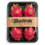 Red Dragon Fruit