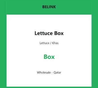 Lettuce Box | صندوق خس