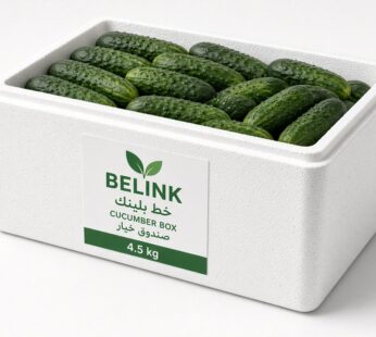 Cucumber Box 4.5kg |