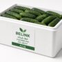 Belink foam box sleeve 4759