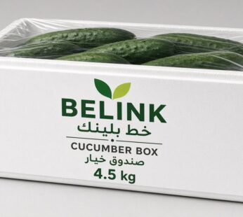Cucumber Box 4.5kg |