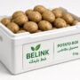 Belink foam box sleeve 4761