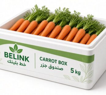Carrot Box | صندوق جزر