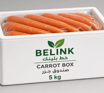 Carrot Box | صندوق جزر